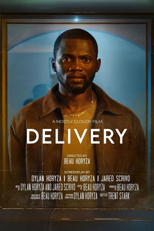 Movie poster for Delivery (2023)