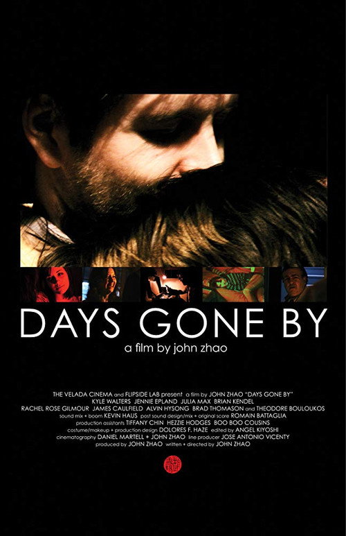 Movie poster for Days Gone By (2011)