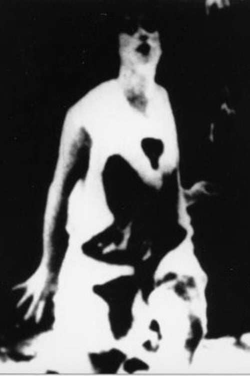 Movie poster for The Central Character (1978)
