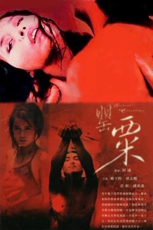 Movie poster for The Sichuan Concubines (1994)