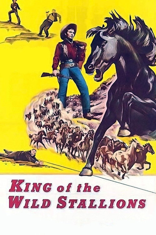 Movie poster for King of the Wild Stallions (1959)