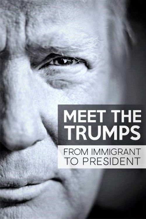 Movie poster for Meet the Trumps: From Immigrant to President (2017)