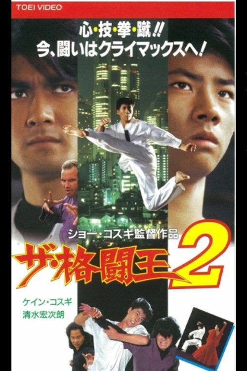 Movie poster for The Fighting King 2 (1994)