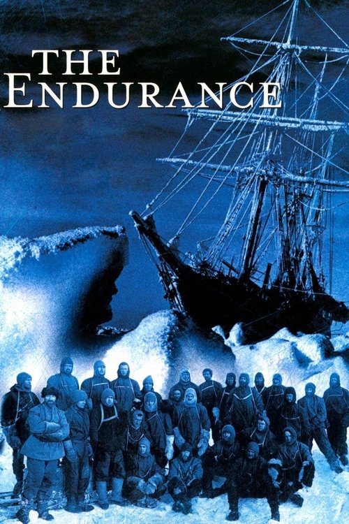 Movie poster for The Endurance (2000)