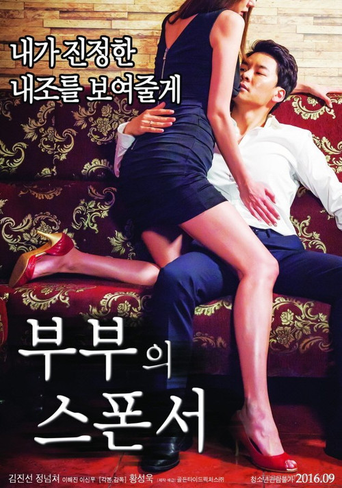 Movie poster for The Couple's Sponsor (2016)
