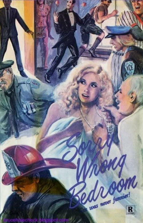 Movie poster for Sorry, Wrong Bedroom (1973)