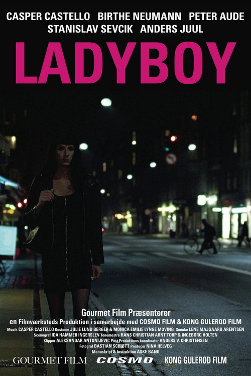 Movie poster for Ladyboy (2011)