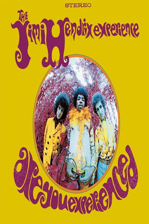 Movie poster for Are You Experienced (2010)