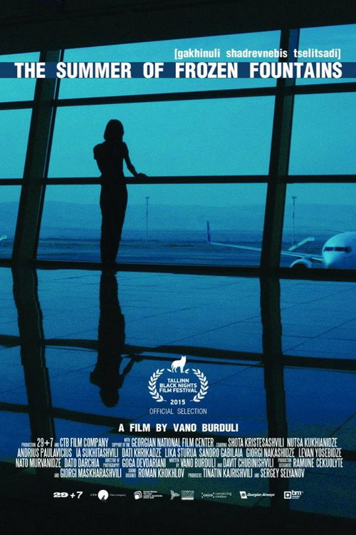 Movie poster for The Summer of Frozen Fountains (2015)