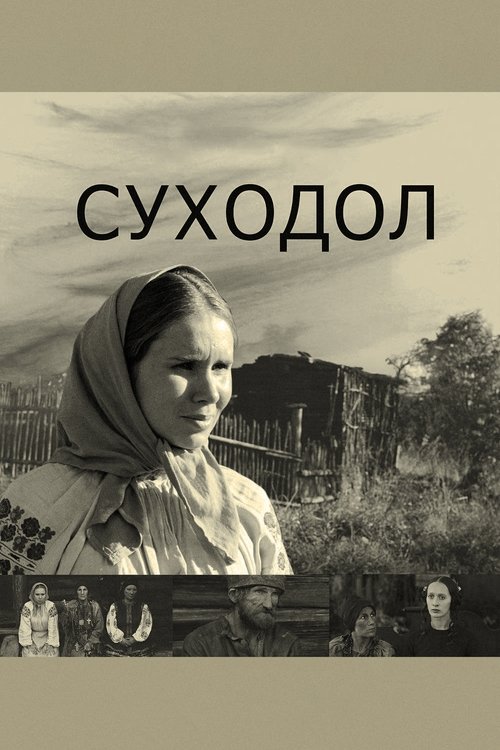 Movie poster for The Dry Valley (2012)