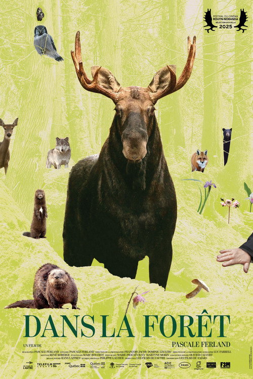 Movie poster for In the Forest (2025)