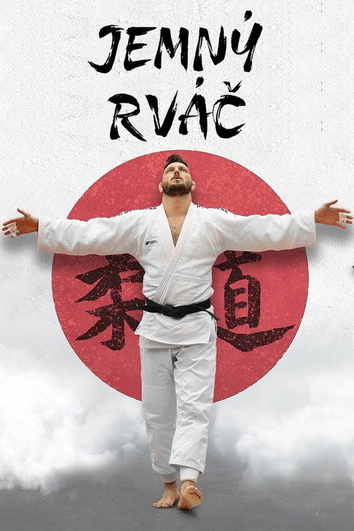 Movie poster for The Gentle Fighter (2025)