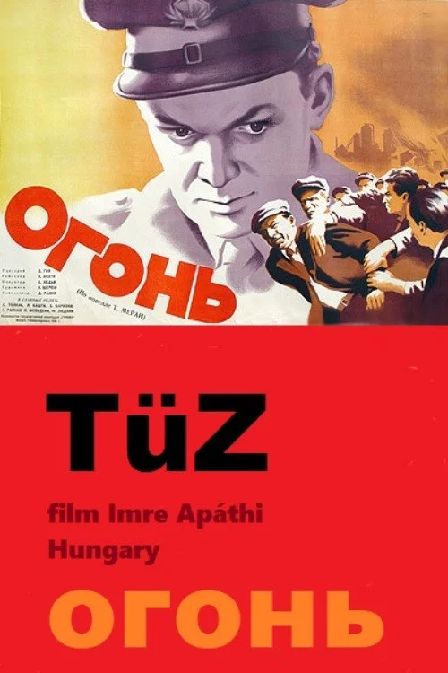 Movie poster for Tüz (1948)