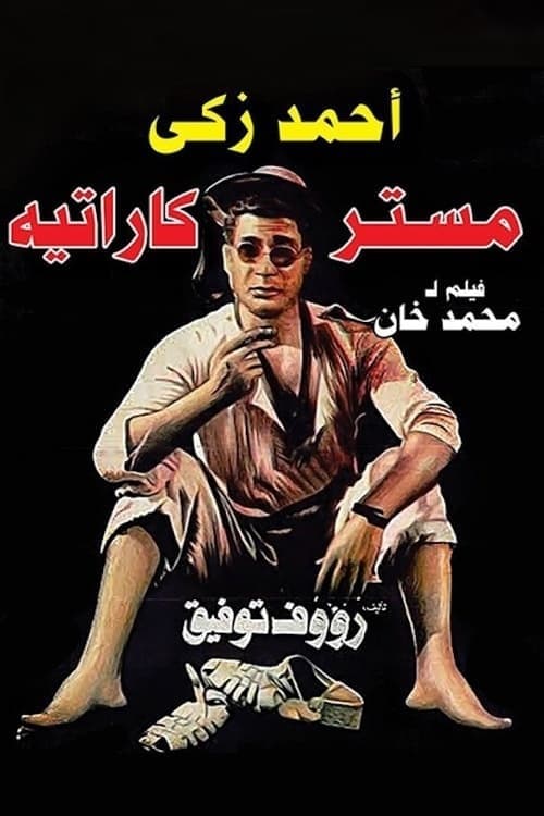 Movie poster for Mr. Karate (1993)