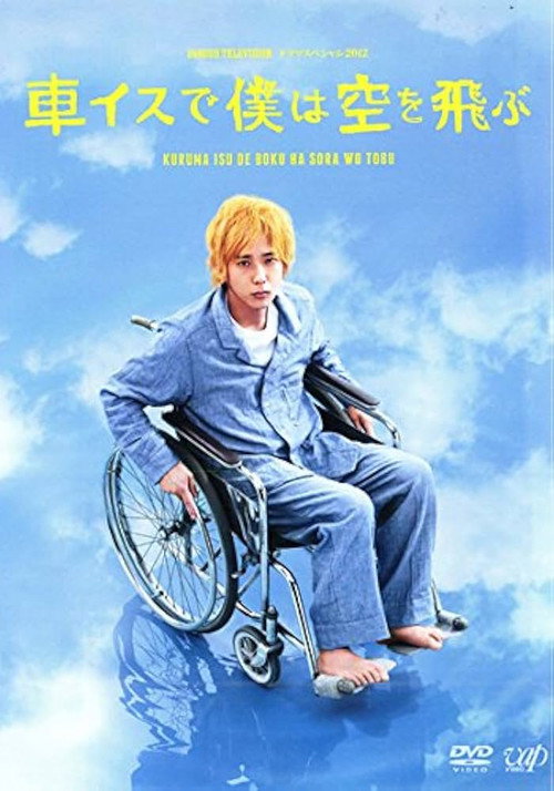 Movie poster for I Will Fly to the Sky on a Wheelchair (2012)