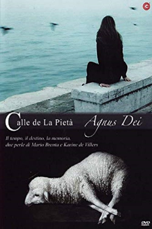 Movie poster for Calle de la pietà (2010)
