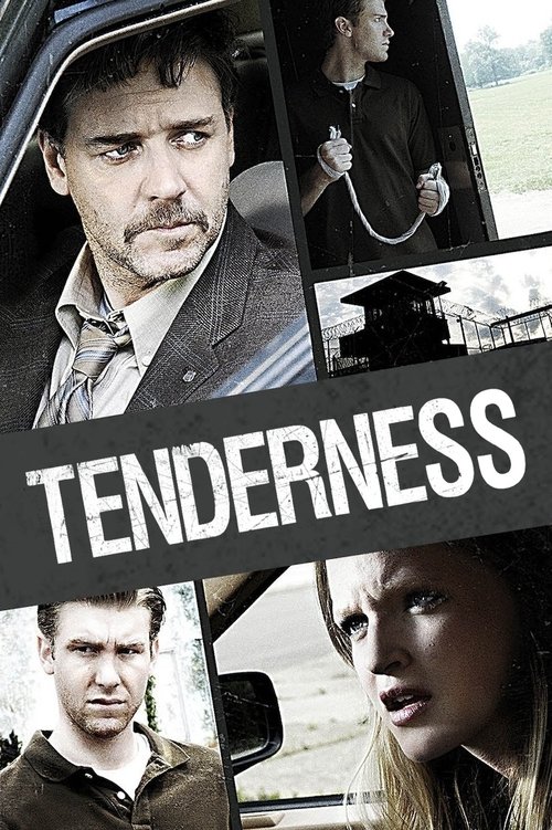Movie poster for Tenderness (2009)