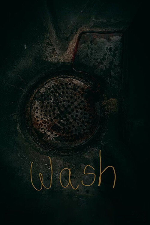 Movie poster for Wash (2019)