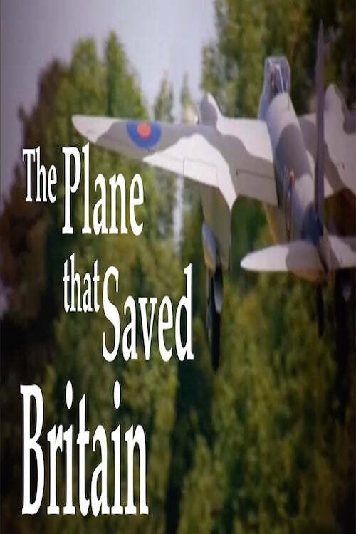 Movie poster for The Plane That Saved Britain (2013)