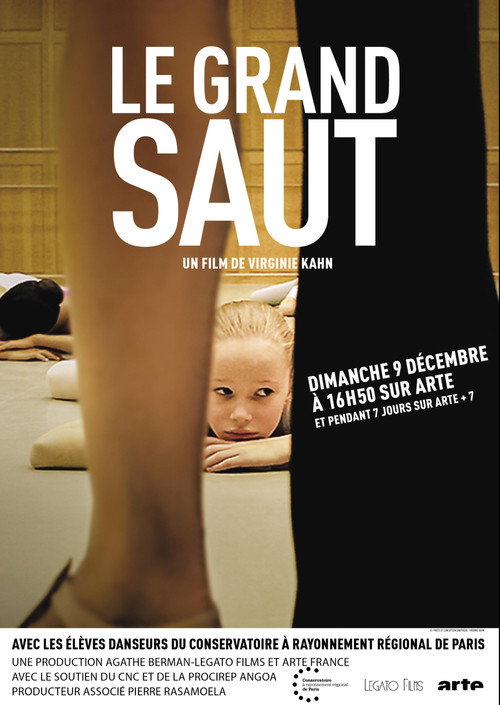 Movie poster for Le grand saut