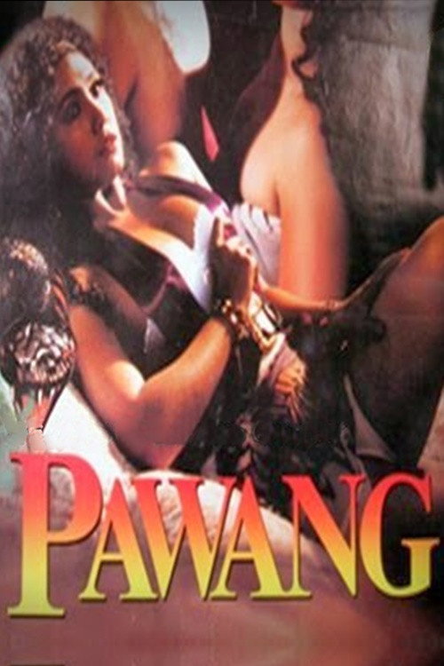 Movie poster for Animal Tamer (1995)