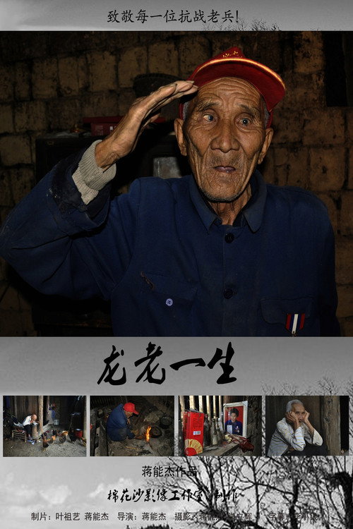 Movie poster for Long Lao (2013)