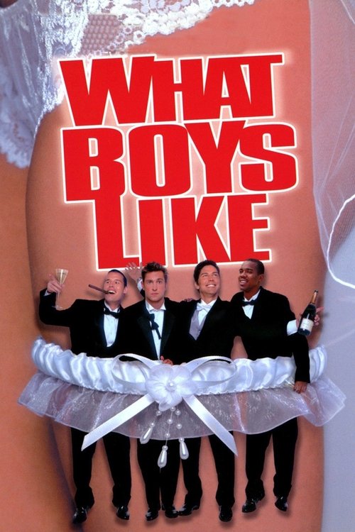 Movie poster for What Boys Like (2003)