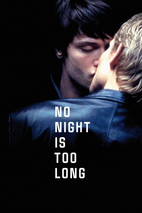 Movie poster for No Night Is Too Long (2002)