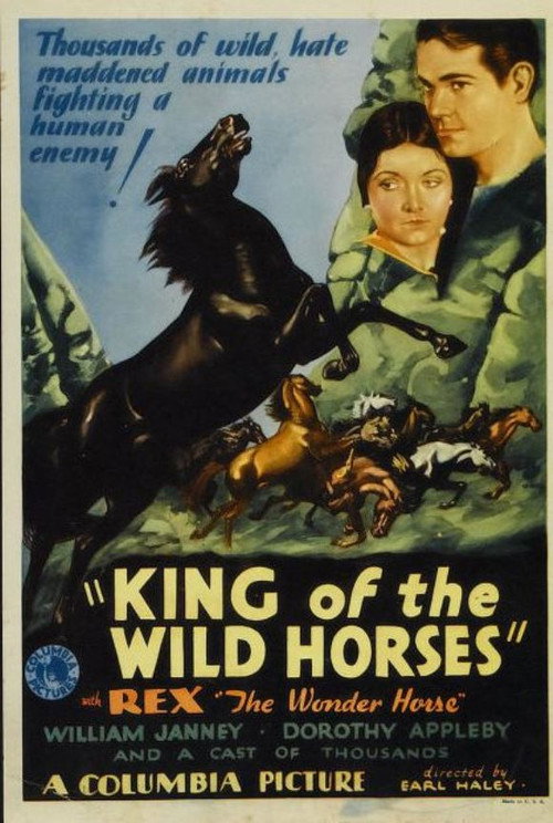 Movie poster for King of the Wild Horses (1933)