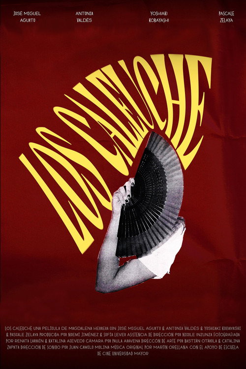 Movie poster for Los Caleuche