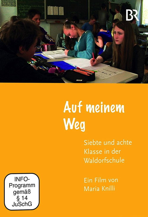 Movie poster for Auf meinem Weg (2017)