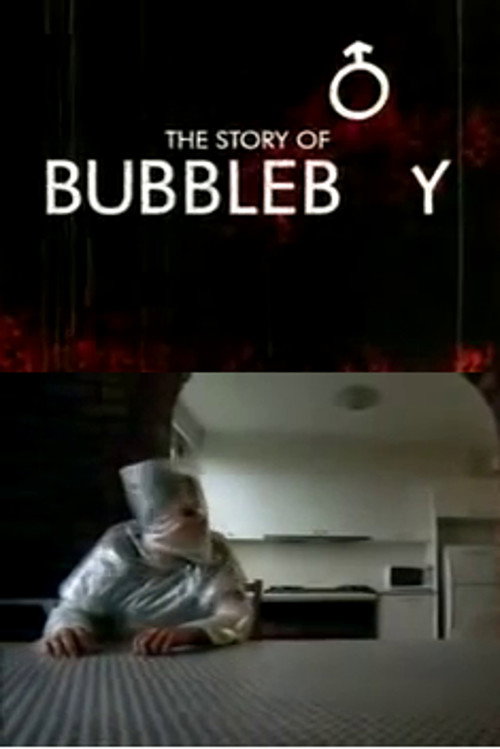 Movie poster for The Story of Bubbleboy (2006)