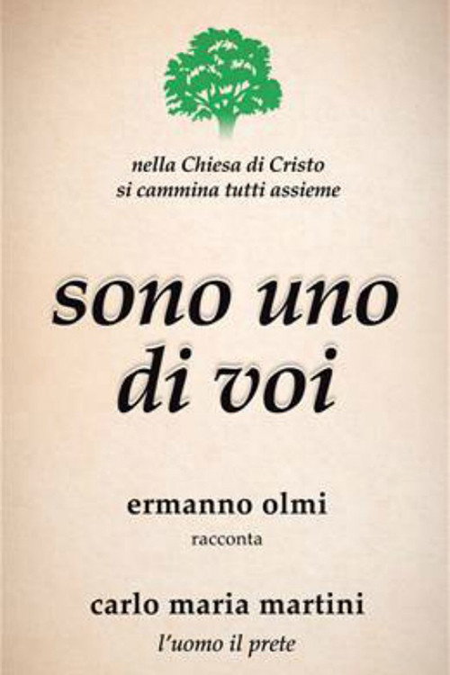 Movie poster for Vedete, sono uno di voi (2017)