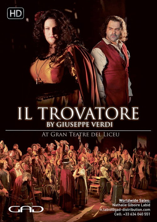 Movie poster for Il trovatore - Liceu (2017)