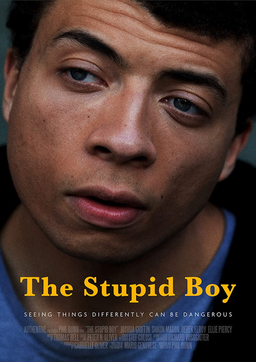 Movie poster for The Stupid Boy (2022)