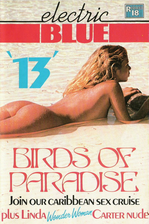Movie poster for Electric Blue 13 (1984)