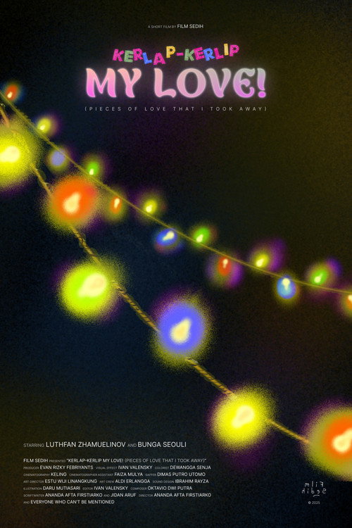 Movie poster for Pieces Of Love That I Took Away (2025)