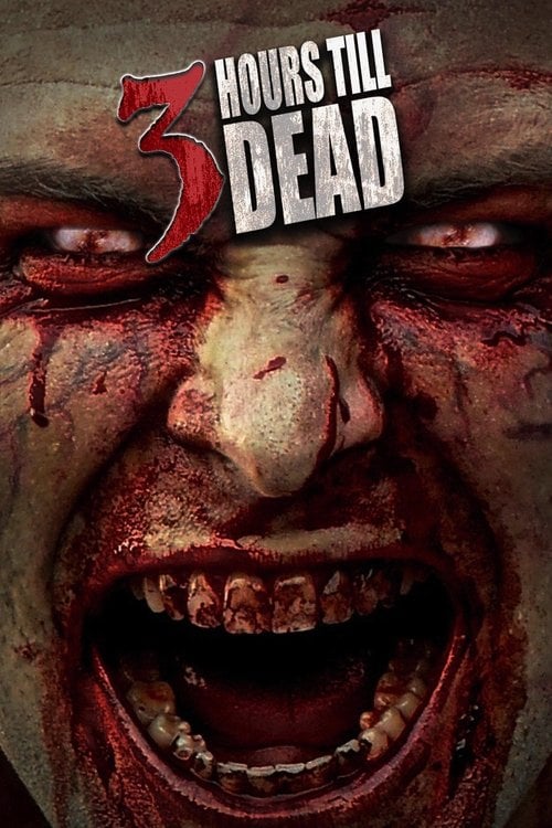 Movie poster for 3 Hours till Dead (2017)