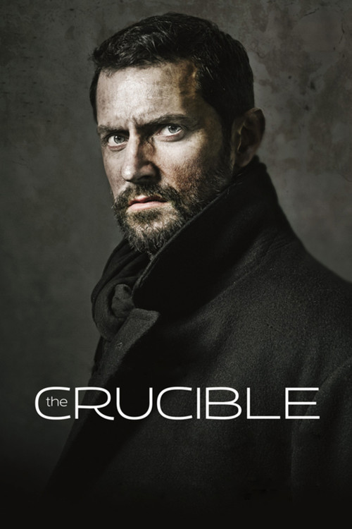 Movie poster for The Crucible (2014)