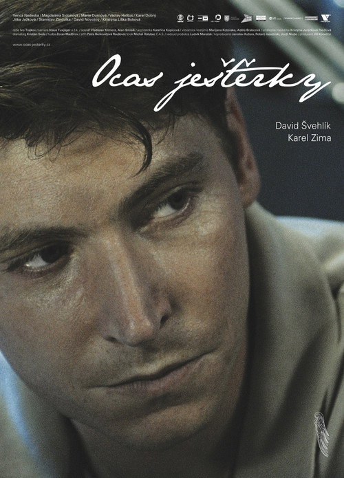 Movie poster for Wingless (2009)