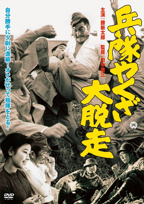 Movie poster for Hoodlum Soldier's Flight to Freedom (1966)