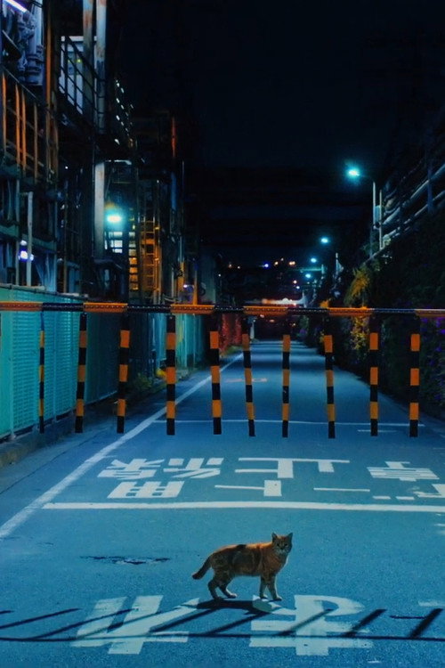 Movie poster for Memory of places (2022)
