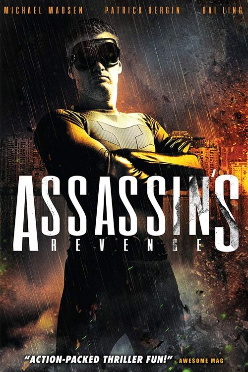 Movie poster for Assassins Revenge (2018)