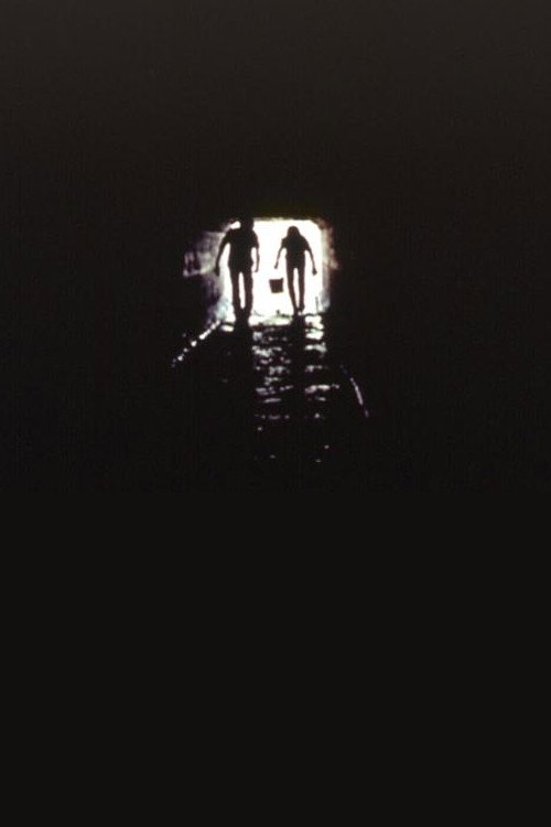 Movie poster for Brothers of the Creek (2001)