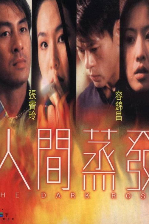 Movie poster for The Dark Rose (2000)