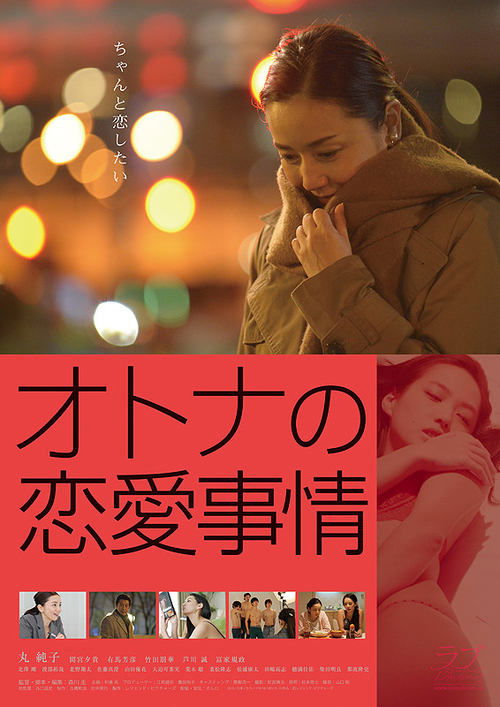 Movie poster for Love Circumstances for Adults (2016)