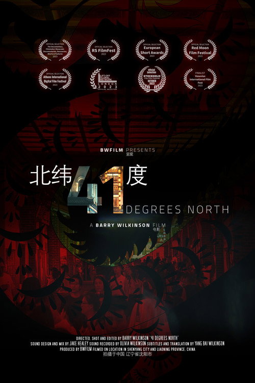 Movie poster for 41 Degrees North (2023)