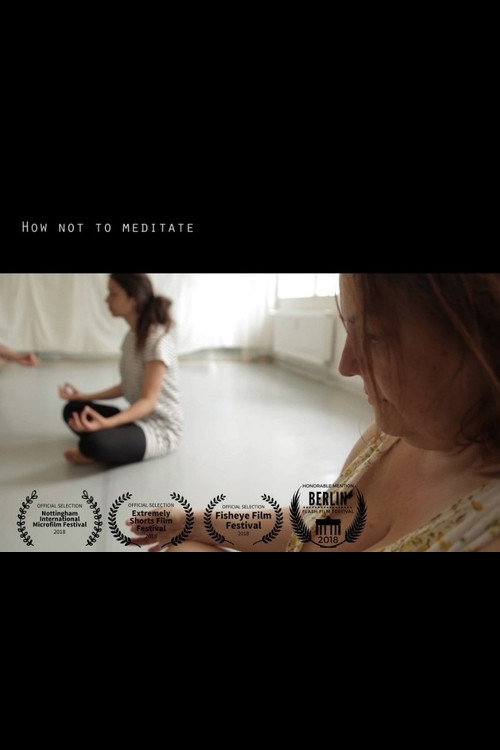 Movie poster for How Not To Meditate (2018)