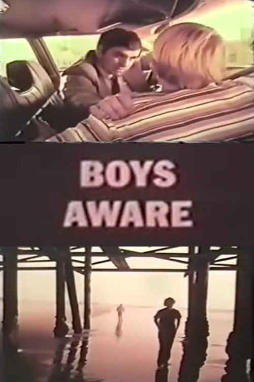 Movie poster for Boys Aware (1973)