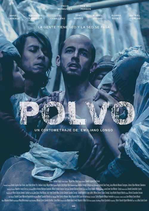 Movie poster for Polvo